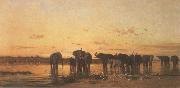 Elephants at Sunset